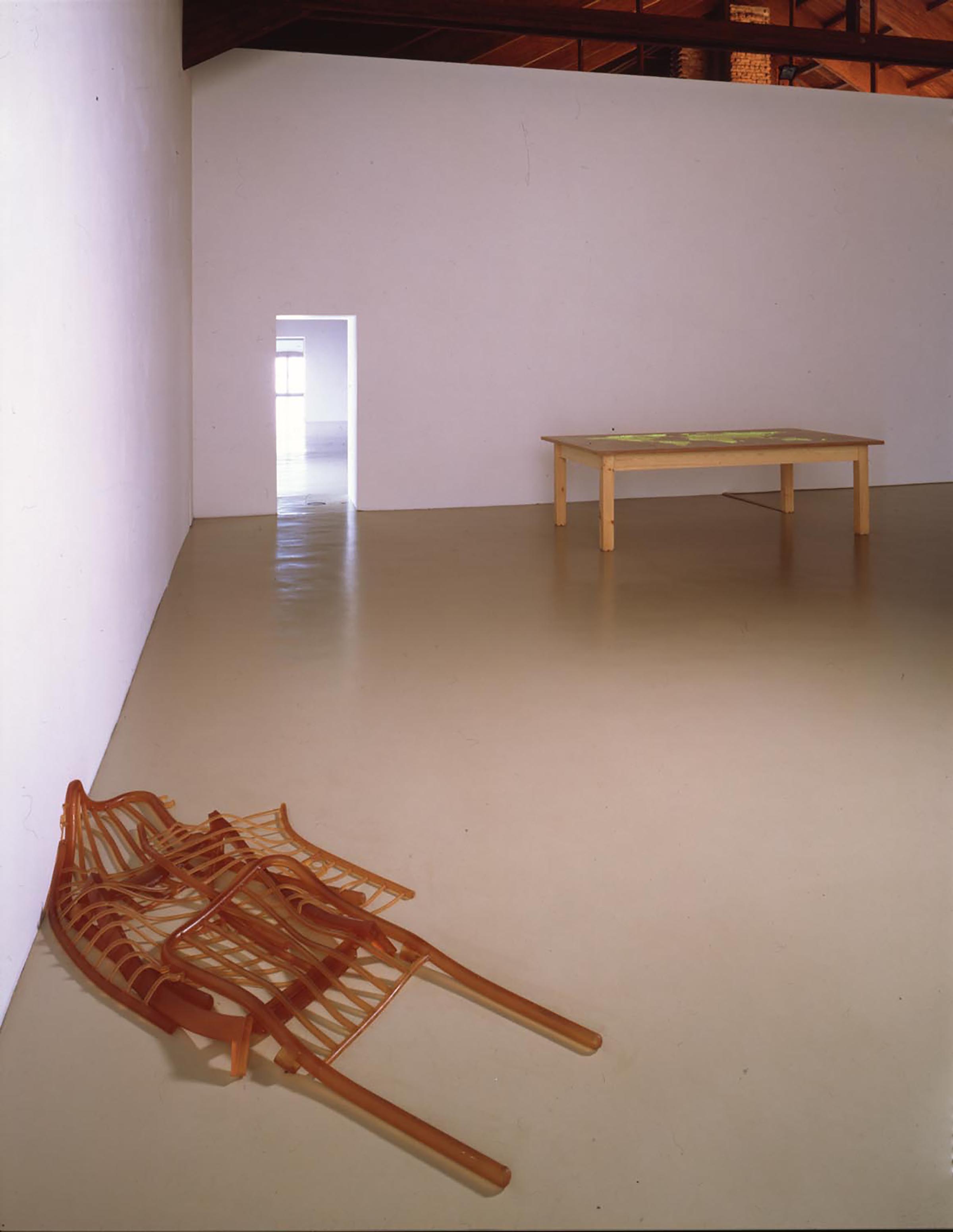 Mona Hatoum, Marrow, 1996 and Plotting Table, 1998